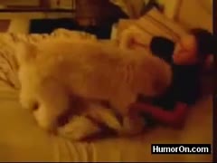 When her webcam is streaming live, a flirtatious, barely of legal age bitch gets crazy with her dog.